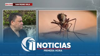 Más de 100 pacientes hospitalizados por dengue en San Pedro Sula [upl. by Bullivant]