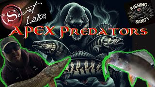 The Secret lake apex predators  Pike Perch and Eel 🦈🎣😮 [upl. by Moynahan]