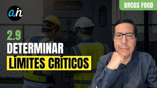 29 Determinar límites críticos [upl. by Aerbas]