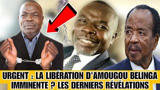 URGENT  La Libération dAmougou Belinga Imminente  Les Dernières Révélations [upl. by Nason]