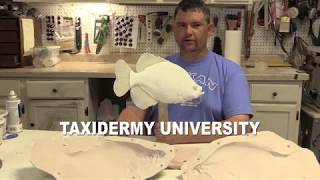 Molding and Casting an Open Mouth Crappie [upl. by Halonna]