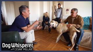 Can Cesar Calm This Aggressive Rescue Dog  S4 Ep 11  Dog Whisperer With Cesar Millan [upl. by Silin55]