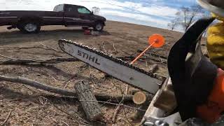 POV firewoodfunchainsawwoodoutdoorsfordoutdoorsfunworkpovasmrspring [upl. by Martres]