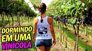 SÃO JOAQUIM  UMA NOITE NA VINÍCOLA VILLA FRANCIONI  Vlog de Bordo 15 [upl. by Derek]