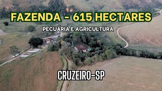 FAZENDA PRONTA para Criação de Gado e Plantação de Milho A Venda  Condição Imperdível  SP [upl. by Ireg]