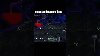 Terraria calamity infernum crabulon fight [upl. by Winton924]