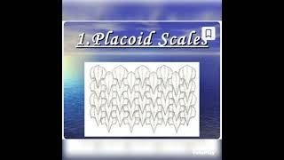 Types of scale fishplacoid scales scalenewbiologycal zoology vedioyoutubevedio [upl. by Anuayek]