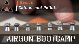 Airgun Pellet Calibers and Types  Airgun Bootcamp [upl. by Iaka]