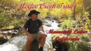 McGee Creek Trail Mammoth Lakes Autumn treasure [upl. by Eigna]