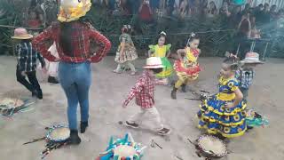 DANÇA DA PENEIRA EDUCAÇÃO INFANTIL [upl. by Ermina953]