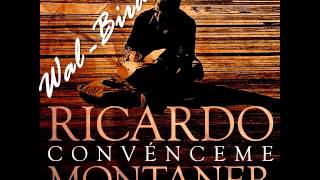 Ricardo Montaner Convénceme video oficial [upl. by Stephie]