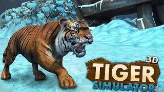 Tiger Simulator 3D Wildlife  Gameplay Android [upl. by Aroled]