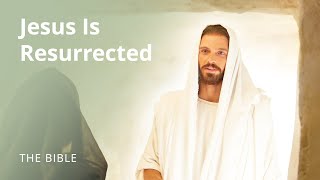 John 20  Jesus Is Resurrected  The Bible [upl. by Allehs]