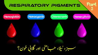 Other Respiratory pigments  Hemocyanin Chlorocruorin Hemerythrin in UrduHindi  ZEESHAN BIOLOGY [upl. by Aihsenat]