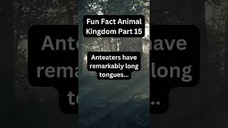 Fun Fact Animal Part 15  Anteaters [upl. by Treblih533]