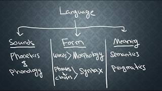 SEMANTICS1 What is Semantics [upl. by Valeda]