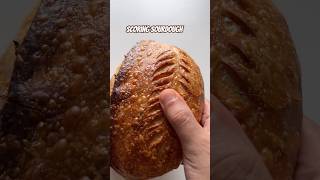 Sourdough Scoring bread [upl. by Gnik]