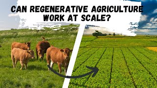 Can Regenerative Agriculture Work Large Scale and Should It [upl. by Penhall]