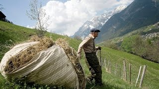 Doku In steiler Höh  Salzburger Bergbauern HD [upl. by Fanning]