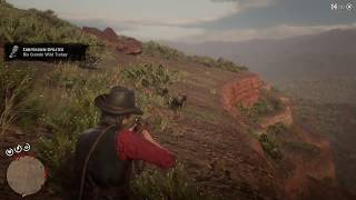 Red Dead Redemption 2  Rio Grande Wild Turkey Location Tribute to Pablo V [upl. by Tengdin]