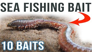 Sea Fishing Bait for Beginners [upl. by Hassadah]