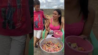 A mistura de frutas😅 parte 05 viralvideo shortvideo video youtubeshorts fyp shorts short [upl. by Archie]