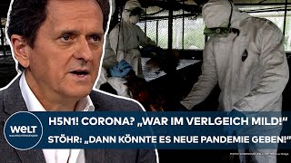 H5N1 quotCorona war im Vergleich mildquot Vierter VogelgrippeFall in USA Neue Pandemie Das sagt Stöhr [upl. by Noyrb]