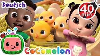 Das Zahlenlied mit Küken  Kinderlieder und Cartoons  CoComelon  Moonbug Kids Deutsch [upl. by Whittemore]