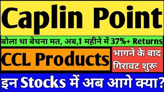 Caplin Point Share Latest News 👈CCL Products Share Latest News👈caplin point share price🎯 ccl share [upl. by Longwood754]