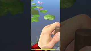 Grass Carp Trophy russianfishing4 fishing rf4 carpfishing russianfishing4spots fish [upl. by Dde]