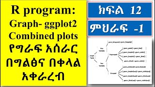 R program graph combined plots Part 12የግራፍ አሰራር በአማርኛ [upl. by Bussy]