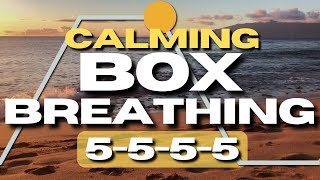 Calming Box Breathing for Stress 5555 [upl. by Nahk]