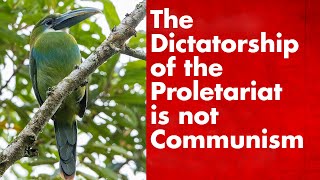 The Dictatorship of the Proletariat and the Lower Phase Of Communism [upl. by Ardnuasac470]