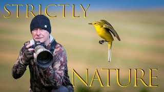 Strictly Nature  HD Nature and Wildlife [upl. by Elliott919]