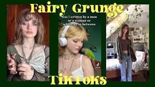 FairycoreFairy Grunge Aesthetic TikTok Compilation [upl. by Asiral35]