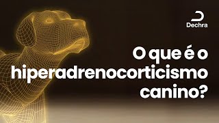 Doença de Cushing  O que é o Hiperadrenocorticismo canino [upl. by Freytag]