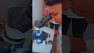 Microscopic viewed 🔬🧫 Bachelor of pharmacy Previous memory fun shortvideo experiment bpharma 🔬🧫💯 [upl. by Nwatna]