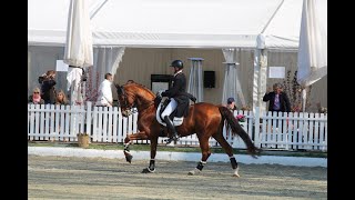 DENOIX amp Hubertus Schmidt  Warm Up CDI4 Grand Prix Special  Horses amp Dreams 2022 [upl. by Ibmat]