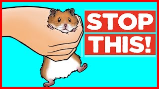 18 Things Hamsters Hate [upl. by Eecyak457]