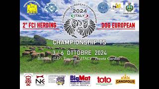 FCI HERDING DOG EUROPEAN CHAMPIONSHIP TS [upl. by Leibrag31]