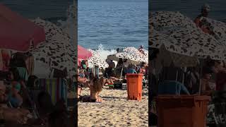 🏝️ Sunny day in Leblon Beach Rio de Janeiro  Brazil shorts [upl. by Odranar]