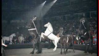 Ringling Brothers and Barnum and Bailey Horses [upl. by Aekin]