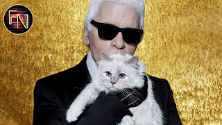 Karl Lagerfeld  Wird das Kätzchen Choupette sein Vermögen erben [upl. by Oehsen198]