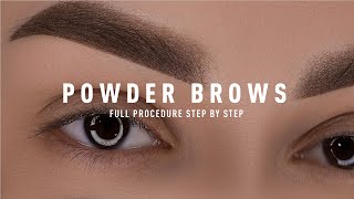 Permanent MakeUp Powder Brows Tutorial  Updated 2024  pmu permanentmakeup [upl. by Craven782]