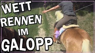 Wettrennen im Galopp ✮✮✮✮✮ [upl. by Leandre579]