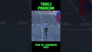 Tadej Pogaçar  Tour de Lombardie 2023 [upl. by Harlene]