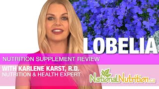 Lobelia Uses amp Benefits Explained by Professional Supplement Review  National Nutrition Canada [upl. by Aivilys]