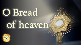 O Bread of Heaven  Hymns old and new  Emmaus Music [upl. by Nethsa]