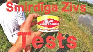 Smirdīgākās Zivs Tests [upl. by Laban]