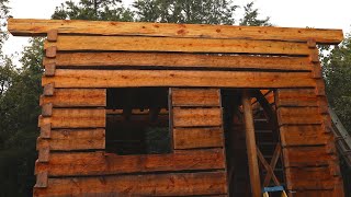 Top Plates Dovetail Log Cabin Build Ep 35 [upl. by Broder400]